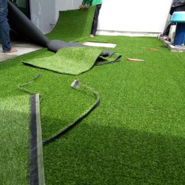 หญ้า_๑๙๑๐๑๑_0012