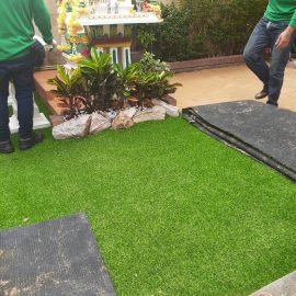 หญ้า_๑๙๑๐๑๑_0160