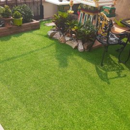 หญ้า_๑๙๑๐๑๑_0161